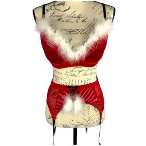 Just Sexy Lingerie Santa 3 Piece Velvet Bra, Panty & Garter Belt Set